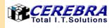 Cerebra Integrated Technologies Ltd.